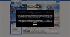 Desktop Screenshot of acciusa.com
